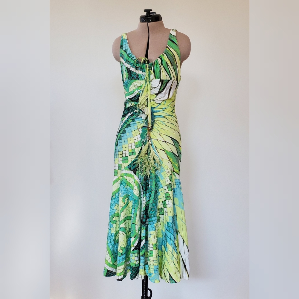 HP🩵 Roberto Cavalli SS04 Silk Print Midi